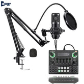 BM800 Condenser Microphone With V9SJ Sound Card
