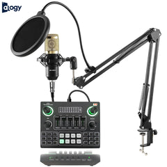 BM800 Condenser Microphone With V9SJ Sound Card