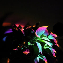 RGB Sunset Lamp Rainbow Projector Mood Light Living Room Bedroom Night Light Room Decor Bar Atmosphere Photography Background